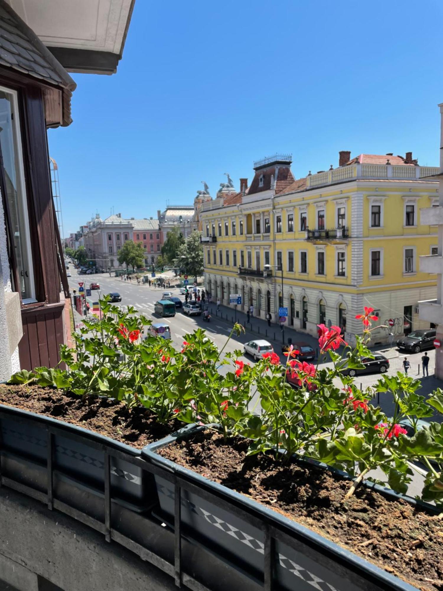 Littleparis Apartment Cluj-Napoca Exterior photo
